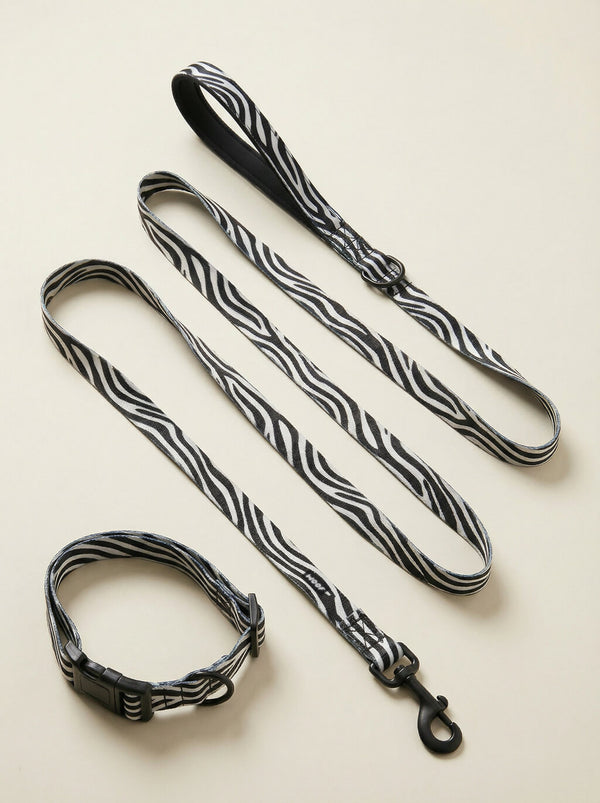 Zebra Pattern Lightweight Dog Collar & Leash Set