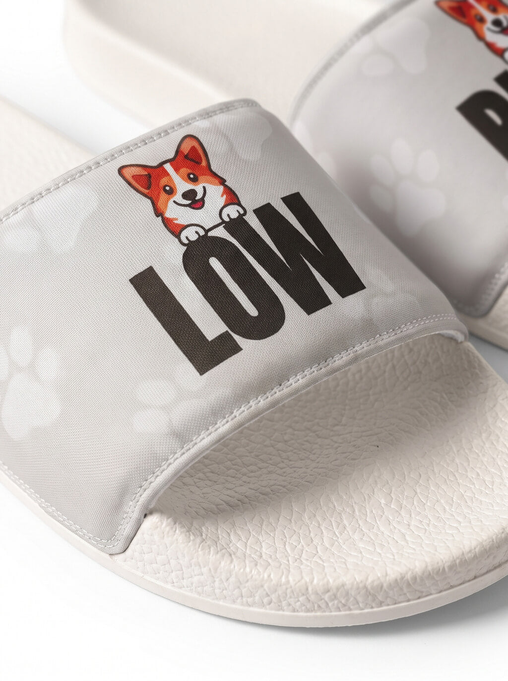 Comfy Corgi Rider Slides