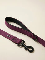 Burgundy Dog Collar & Leash Set