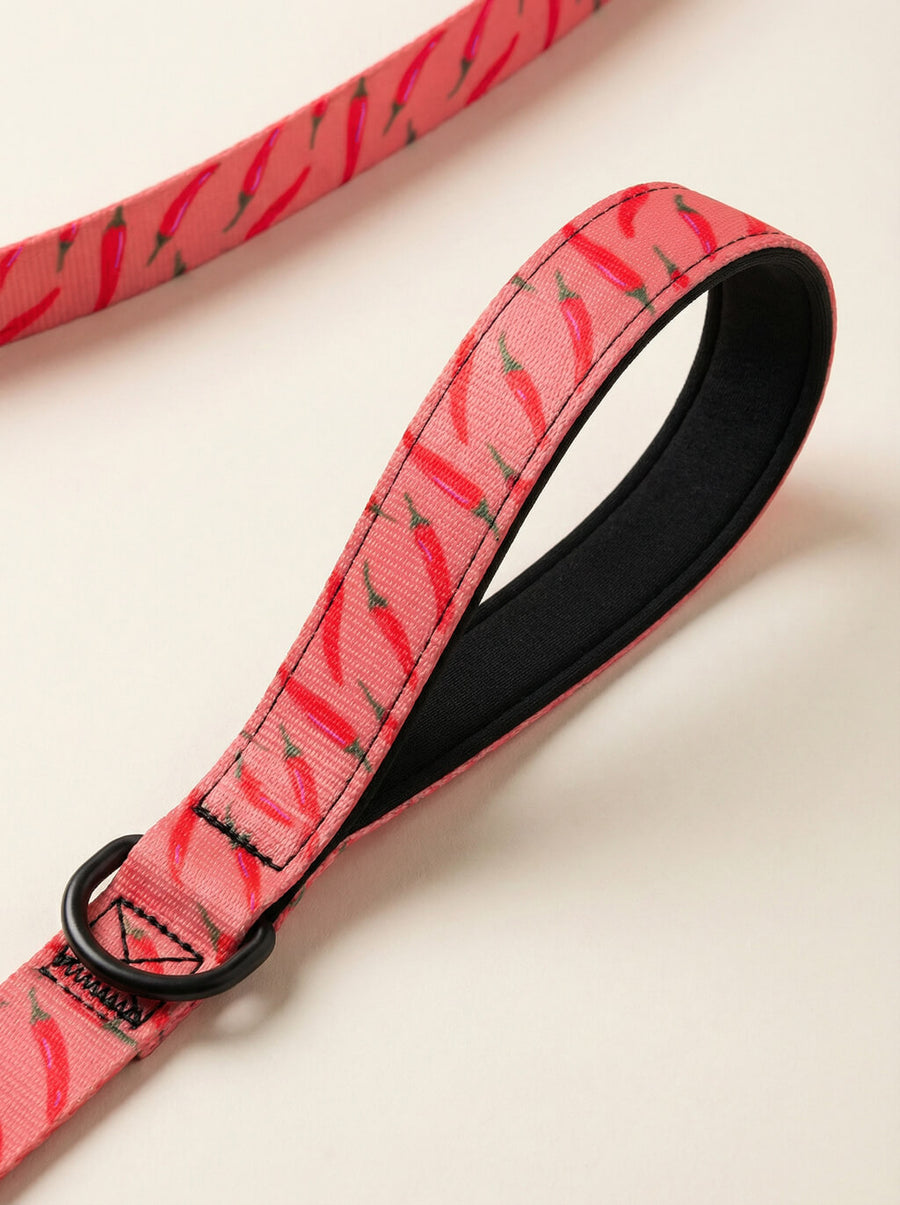 Hardware detail on the chili print dog collar and leash set from WOOF