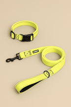 Citrus Yellow Dog Collar & Leash Set - WOOF