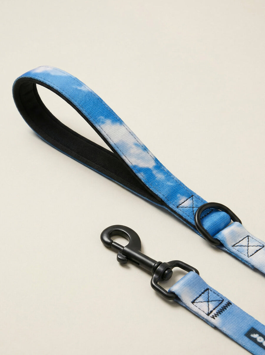 Padded handle on the Happy Clouds dog leash from WOOF
