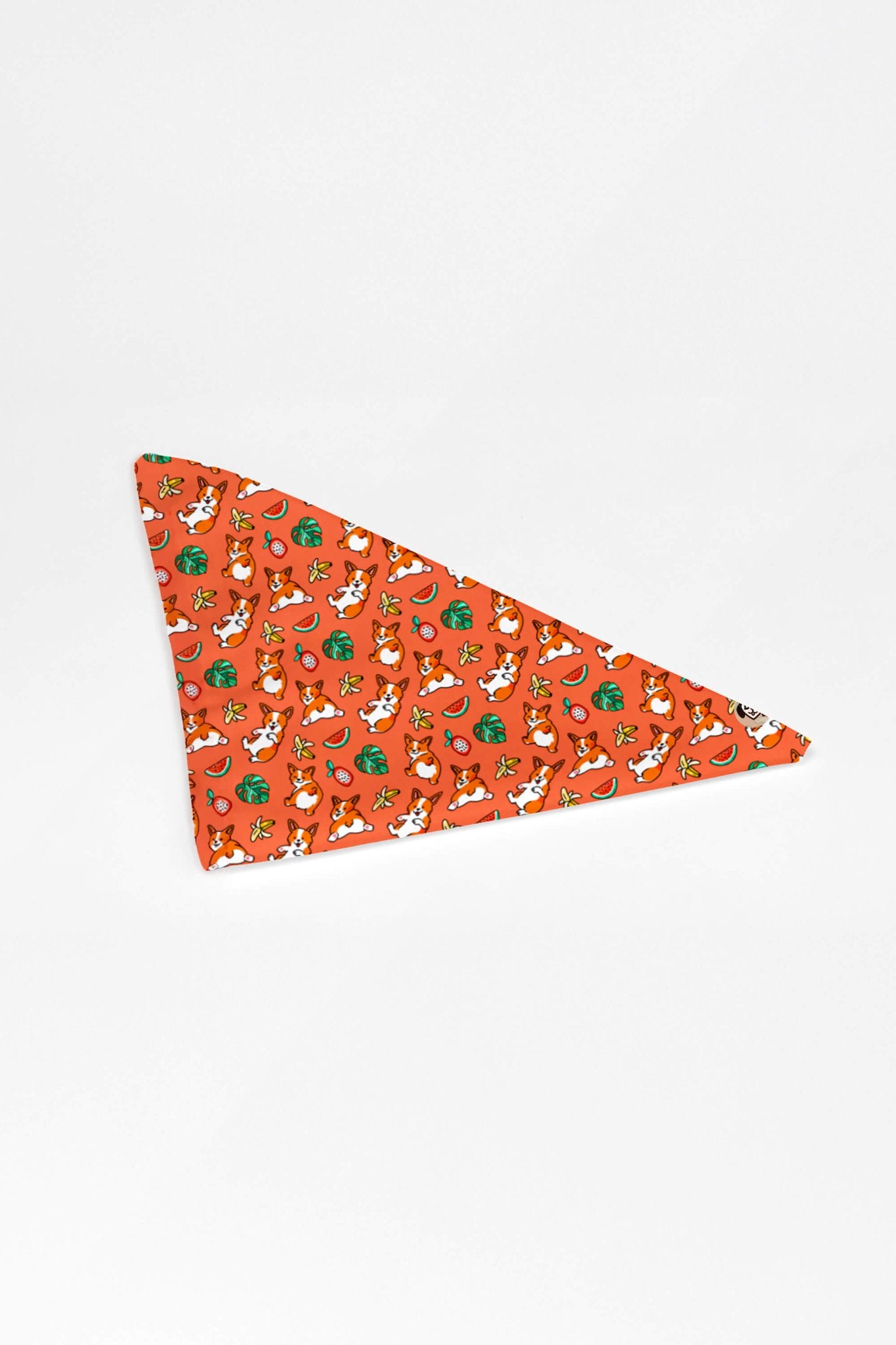 Tropical Corgi Paradise Pet Bandana Orange.