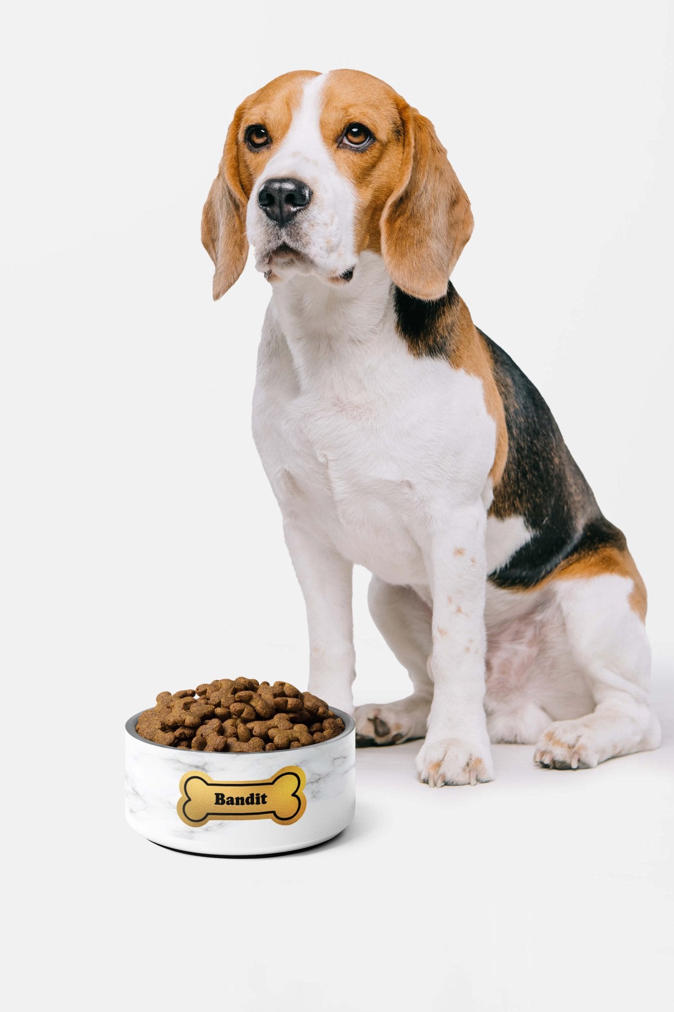 Customizable Marble & Gold Dog Pet Bowl.