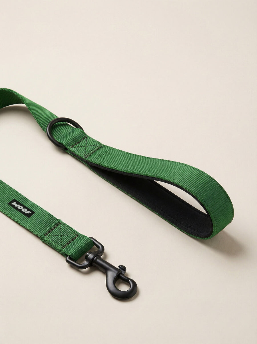 Hardware detail on the deep green dog collar and leash set from WOOF