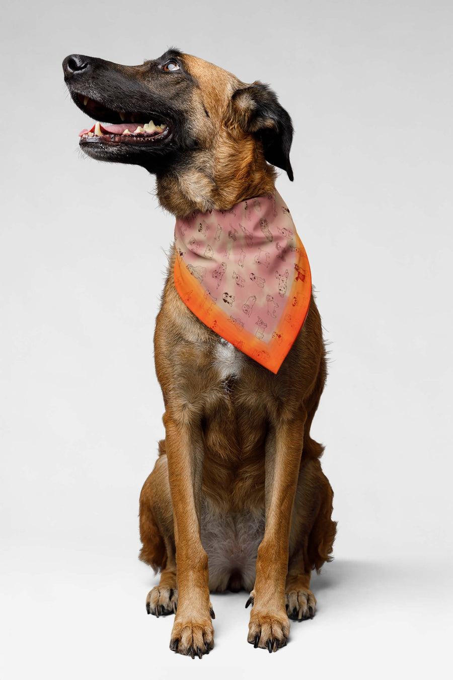 Adorable Puppy Pals bandana from WOOF in beige, front view of the print