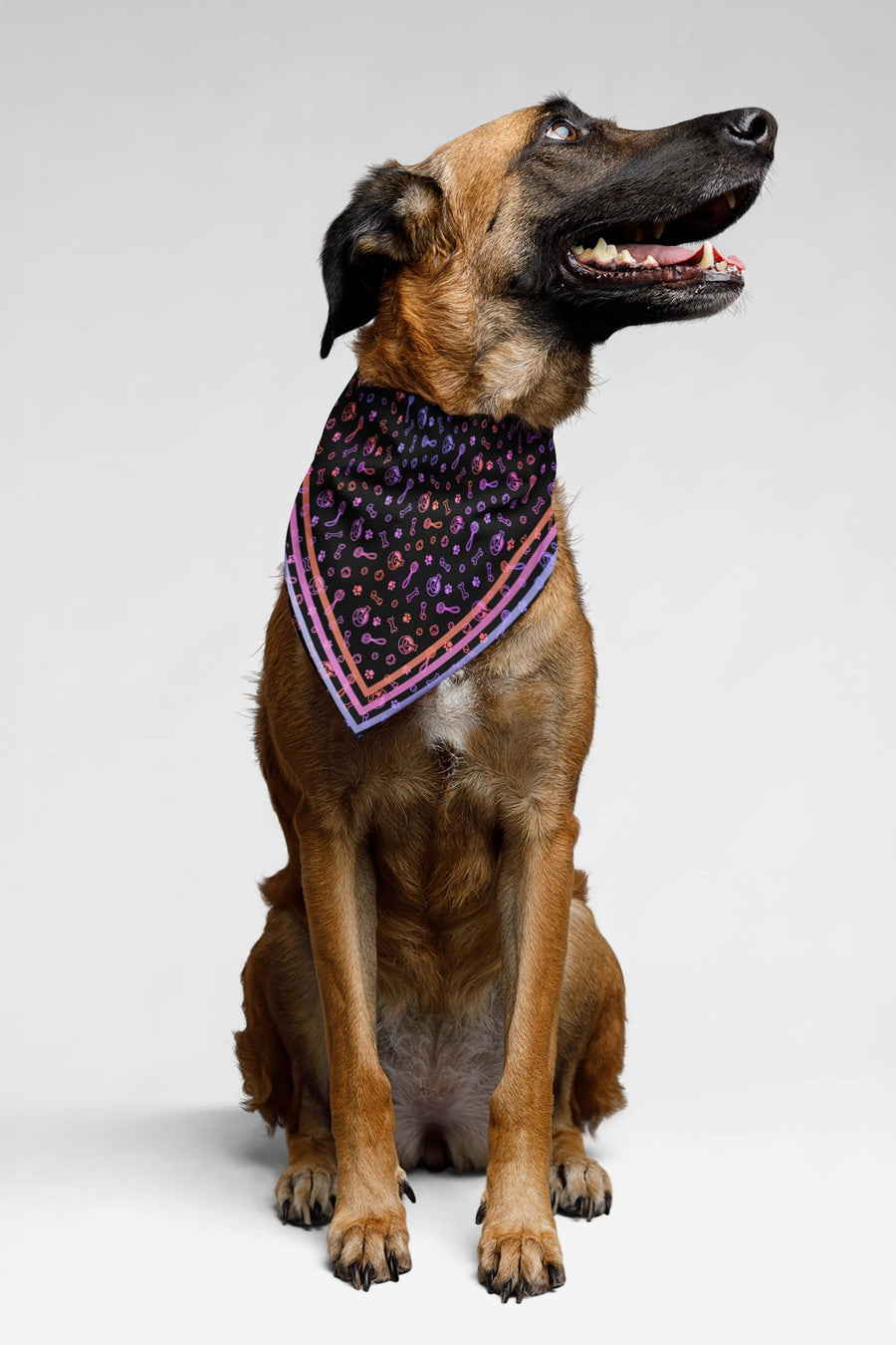 Playful Neon dog bandana from WOOF, front view of the print