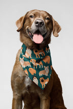 Ultimate Dog Parade Pet Bandana.