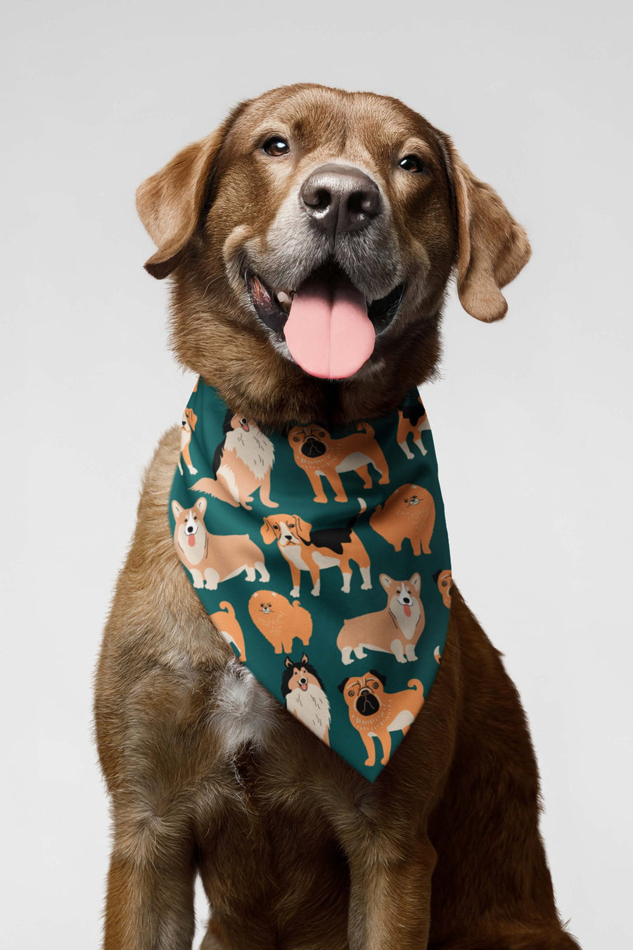Ultimate Dog Parade bandana from WOOF, front view of the print