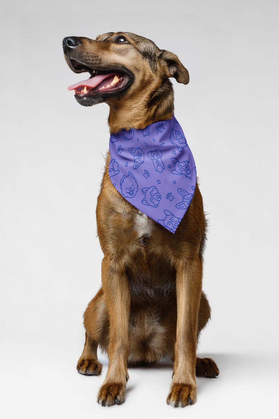 Lavender Dog Art bandana from WOOF, front view of the print
