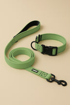 Forest Green Dog Collar & Leash Set - WOOF