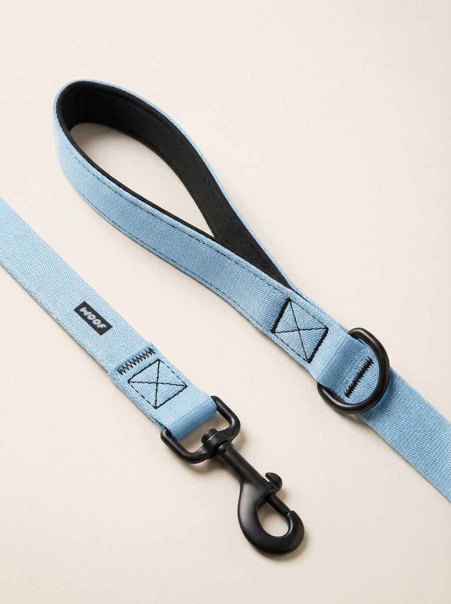 Hardware detail on the ice blue dog collar and leash set from WOOF