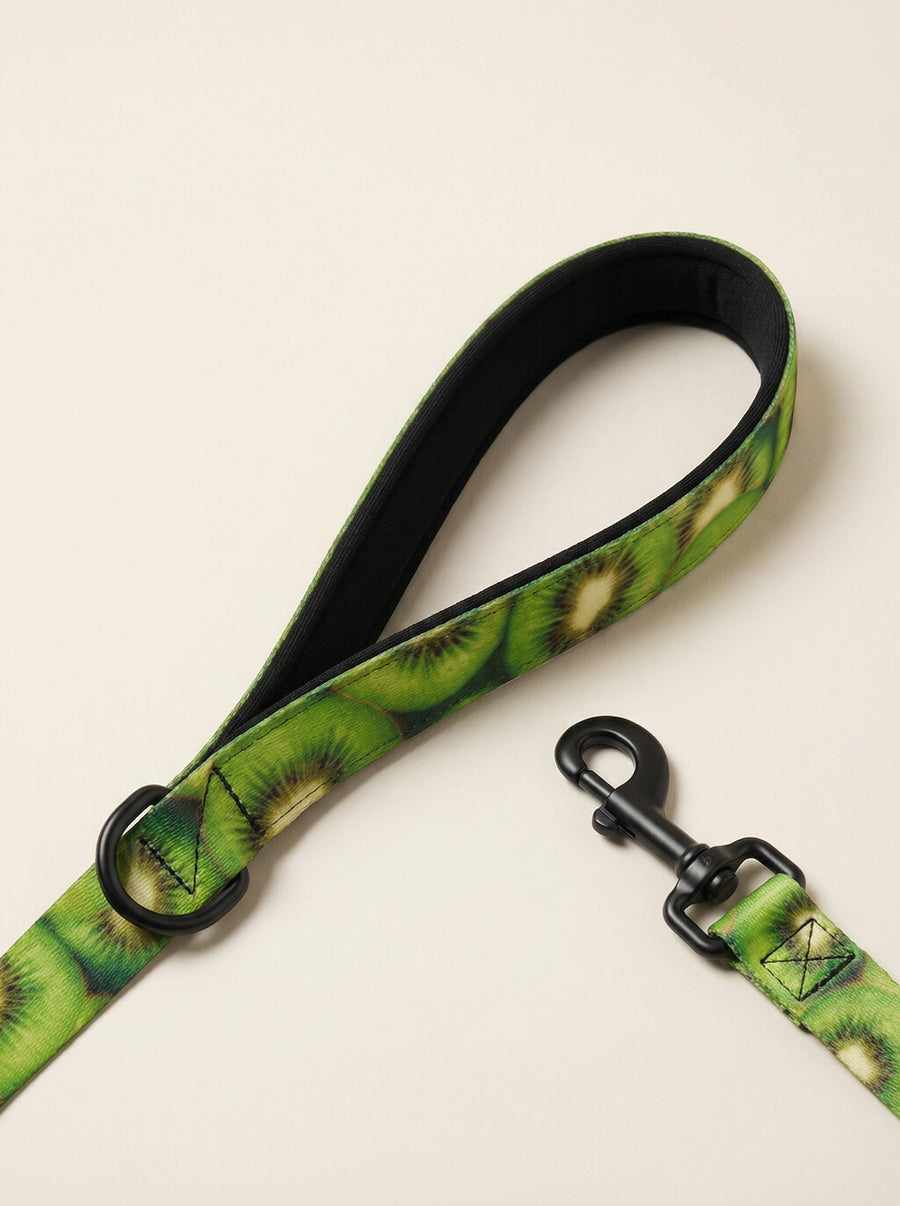 Hardware detail on the kiwi print dog collar and leash set from WOOF