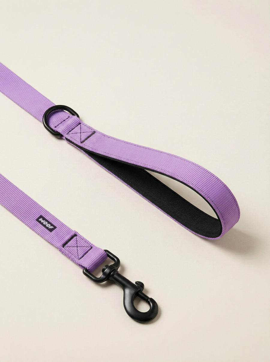 Hardware detail on the lavender dog collar and leash set from WOOF