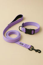 Lavender Dog Collar & Leash Set - WOOF