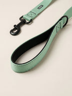 Mint Green Dog Collar & Leash Set