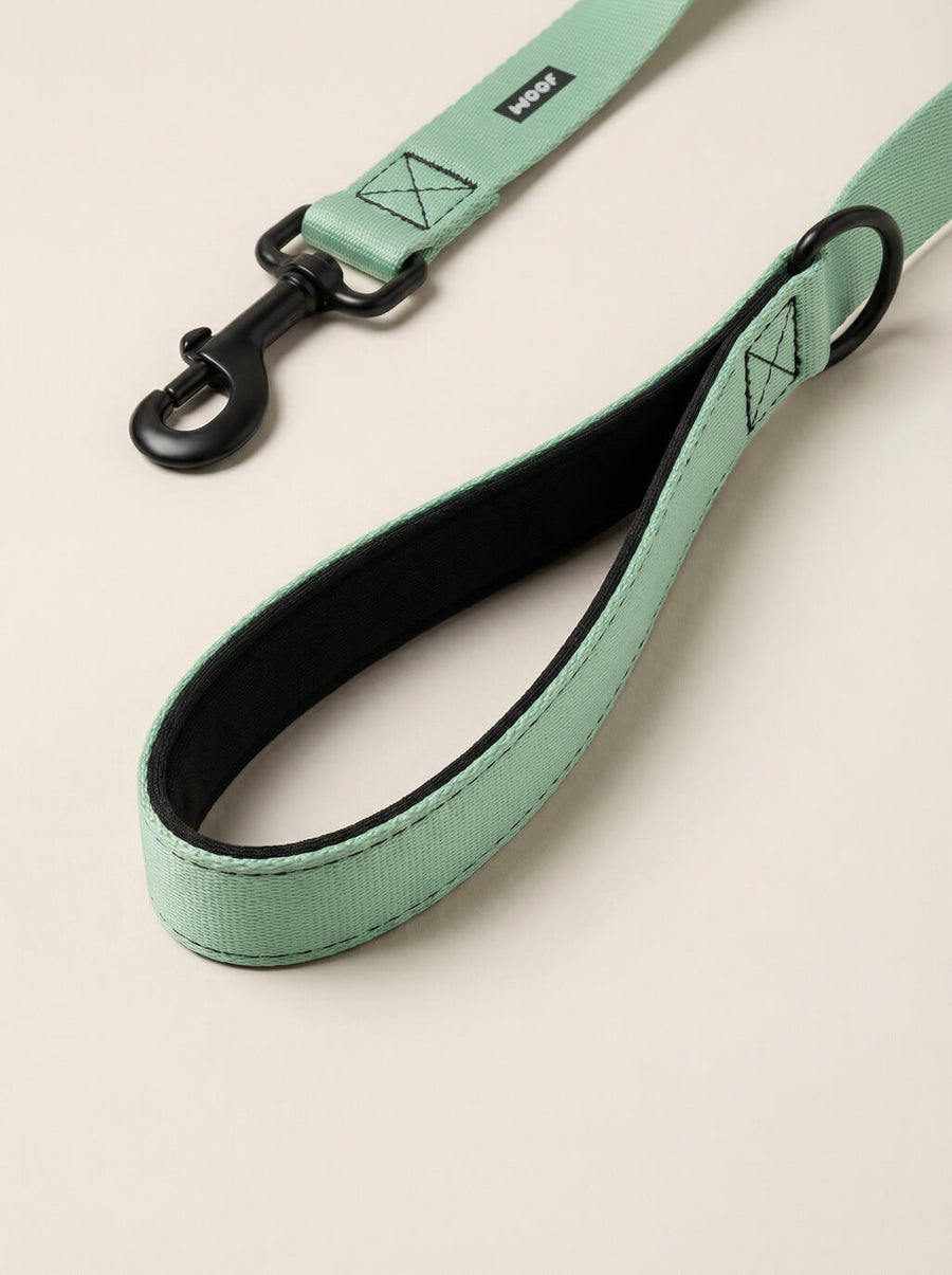 Hardware detail on the mint green dog collar and leash set from WOOF