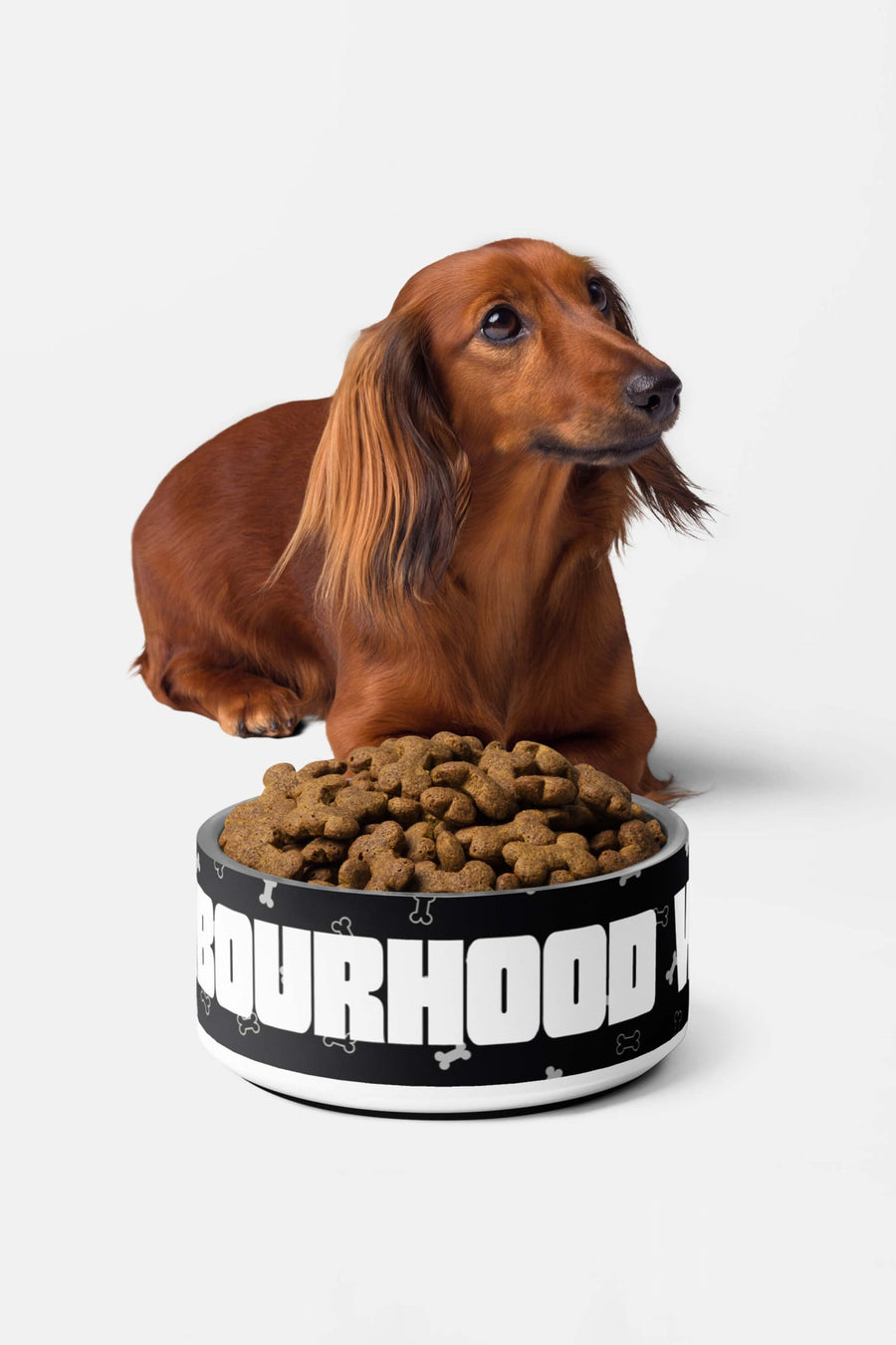 Neighbourhood Watch dog bowl from WOOF on a plain background