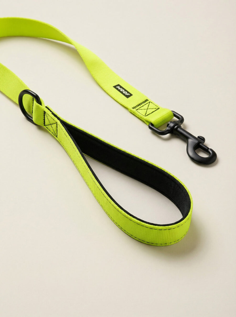Hardware detail on the neon green dog collar and leash set from WOOF