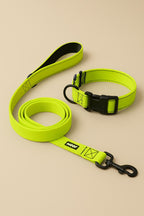 Neon Green Dog Collar & Leash - WOOF