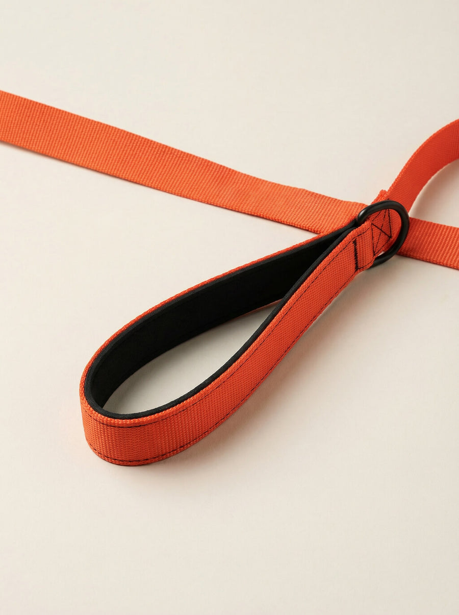 Hardware detail on the neon orange dog collar and leash set from WOOF