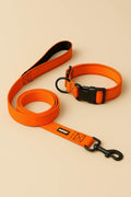 Neon Orange Dog Collar & Leash Set - WOOF
