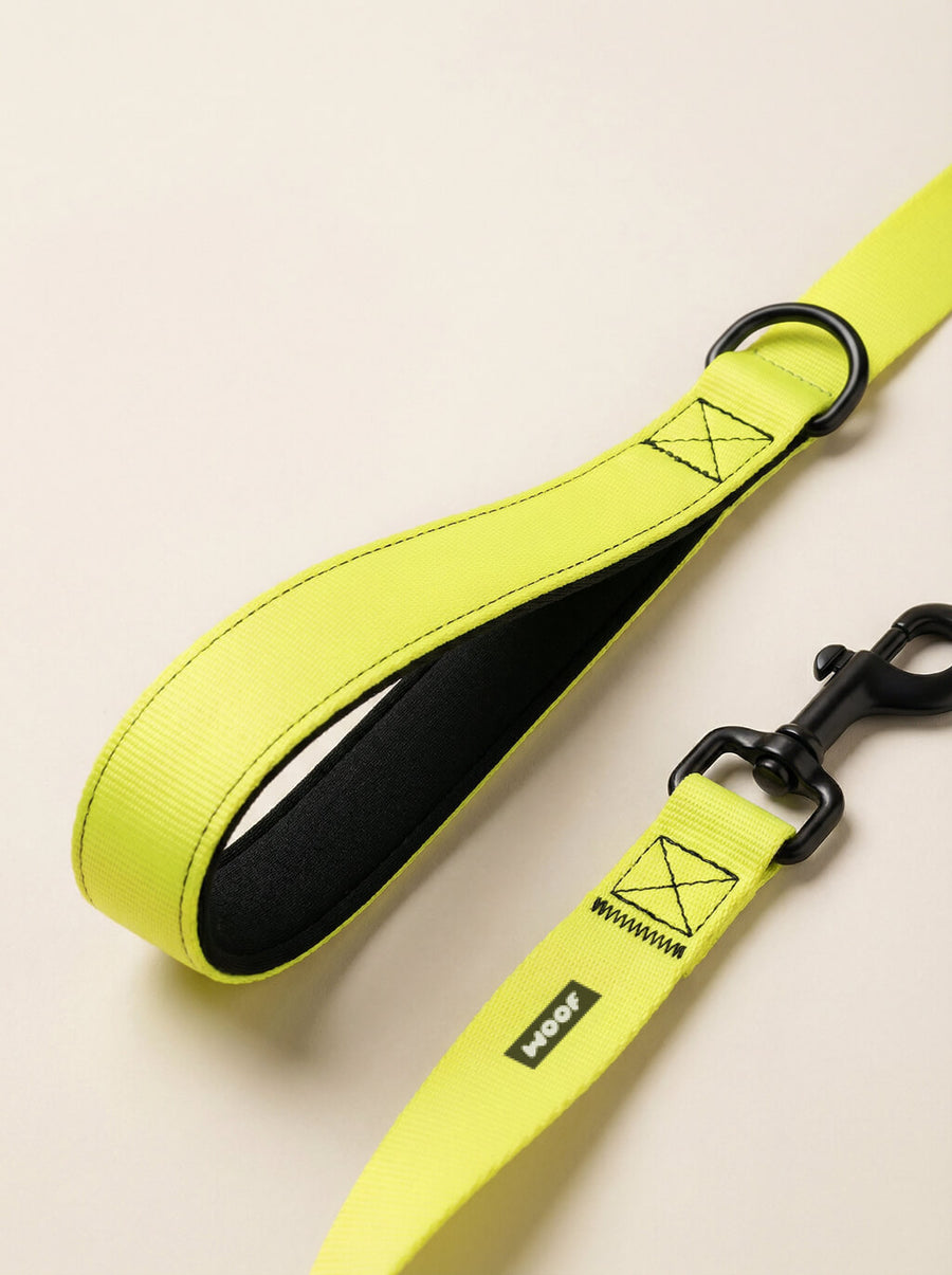 Hardware detail on the neon yellow dog collar and leash set from WOOF