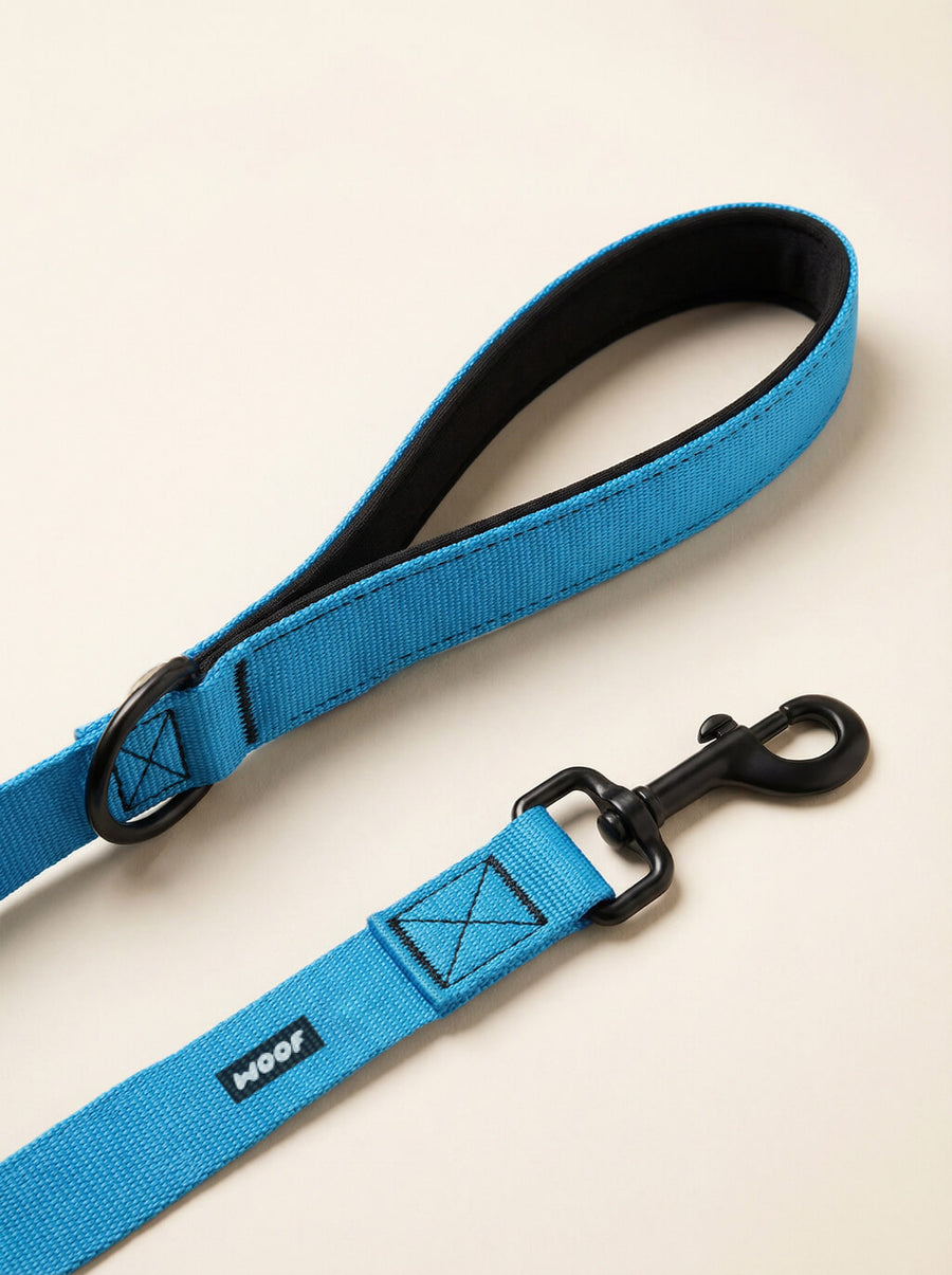 Hardware detail on the sky blue dog collar and leash set from WOOF