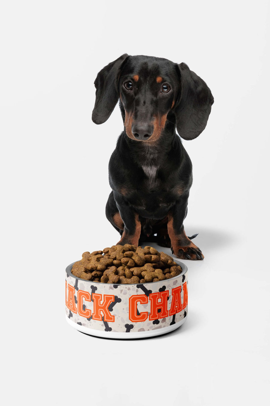 Snack Champ dog bowl from WOOF on a plain background