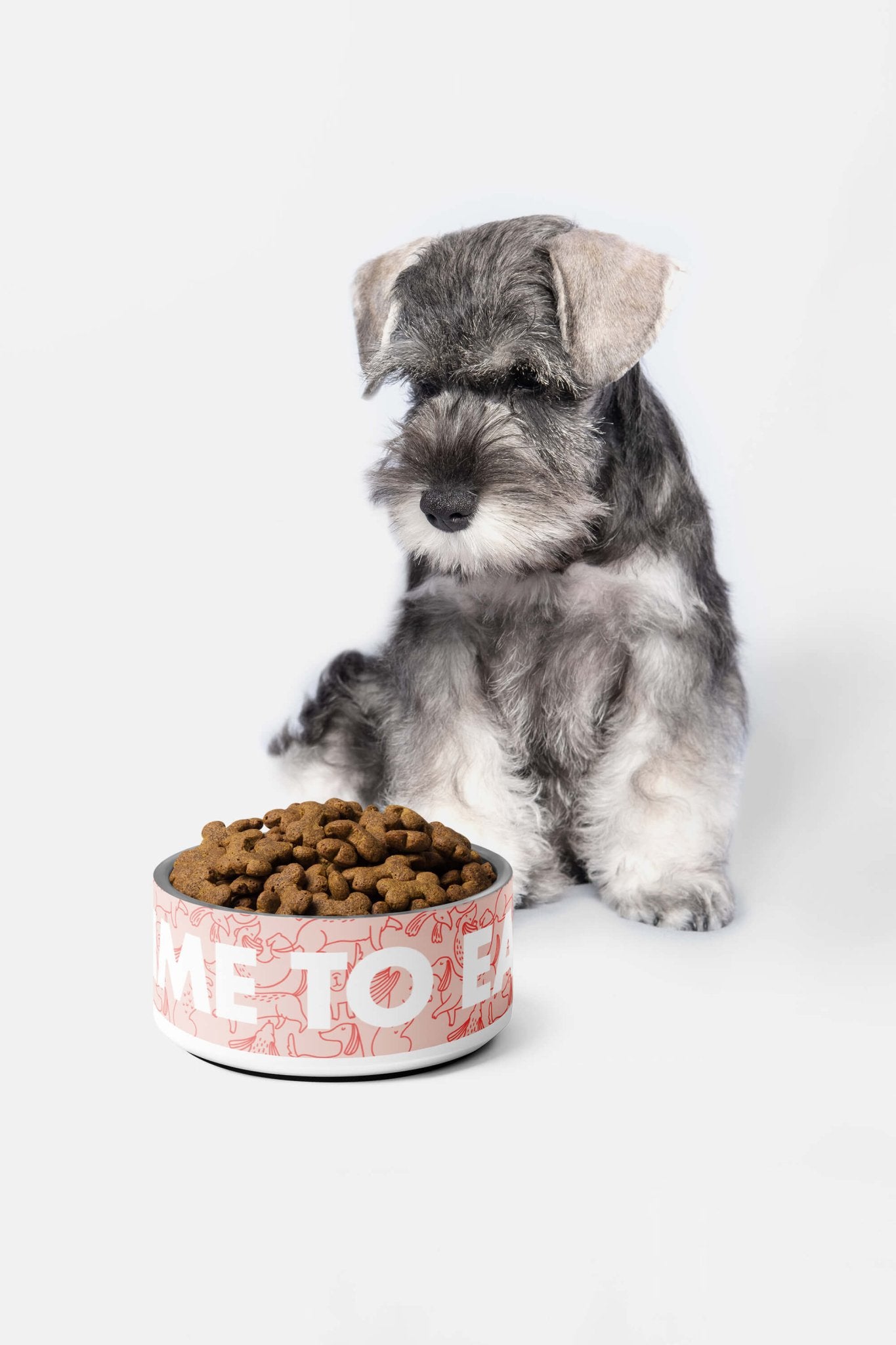Special Time To Eat Dog Pet Bowl.