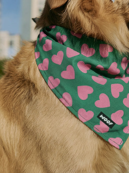 Valentines Day Dog Bandana
