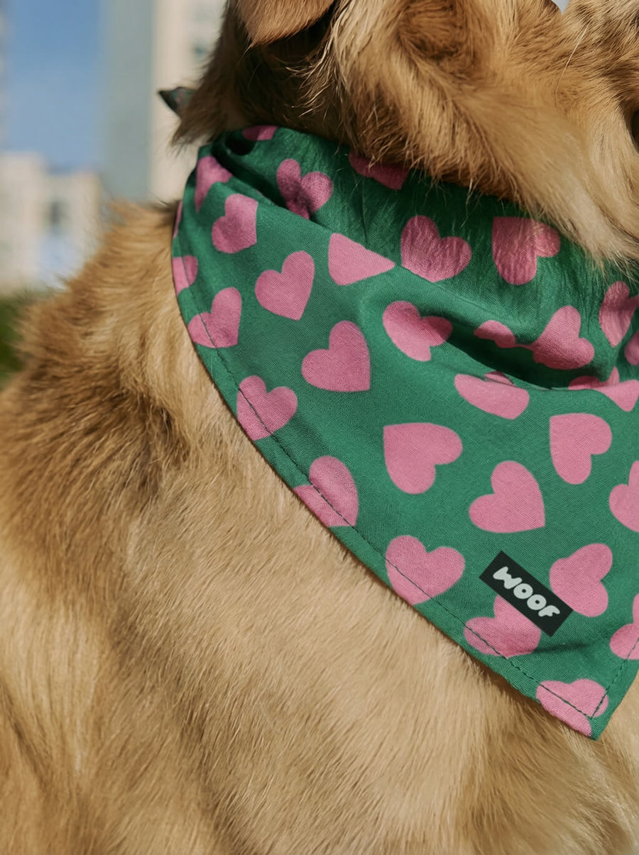 Valentines Day dog bandana from WOOF on a plain background