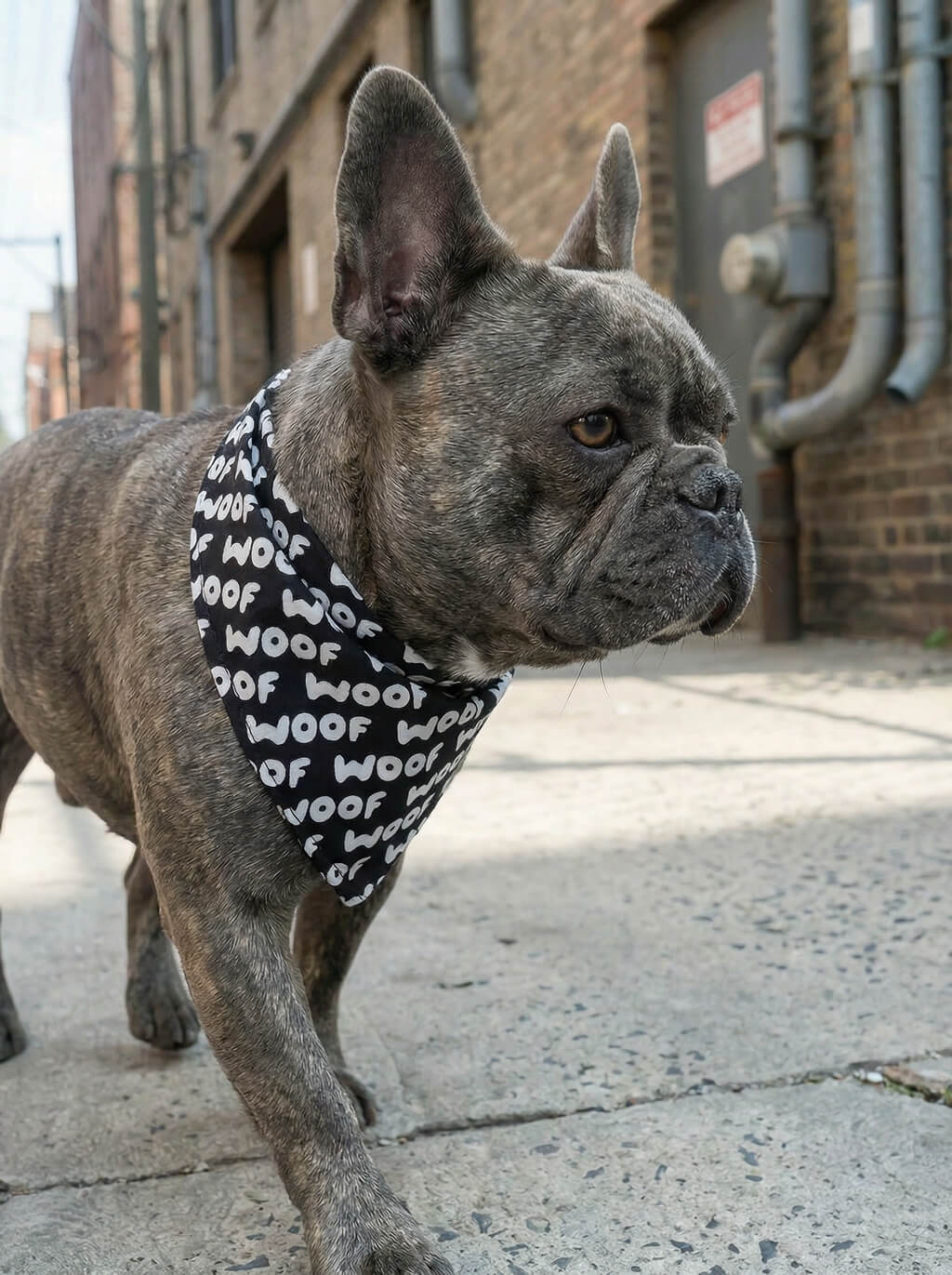 WOOF Logo Dog Bandana