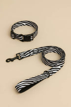 Zebra Dog Collar & Leash Set