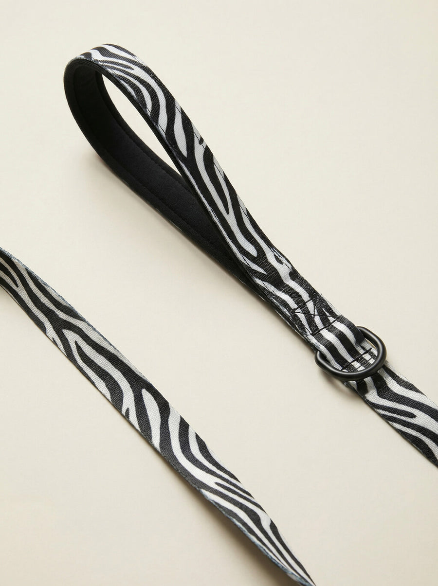 Hardware detail on the zebra print dog collar and leash set from WOOF