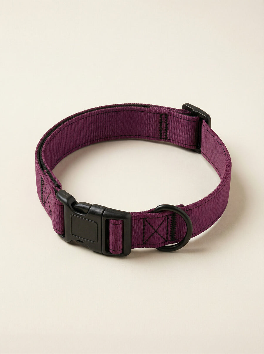 Burgundy dog collar from WOOF shown on its own