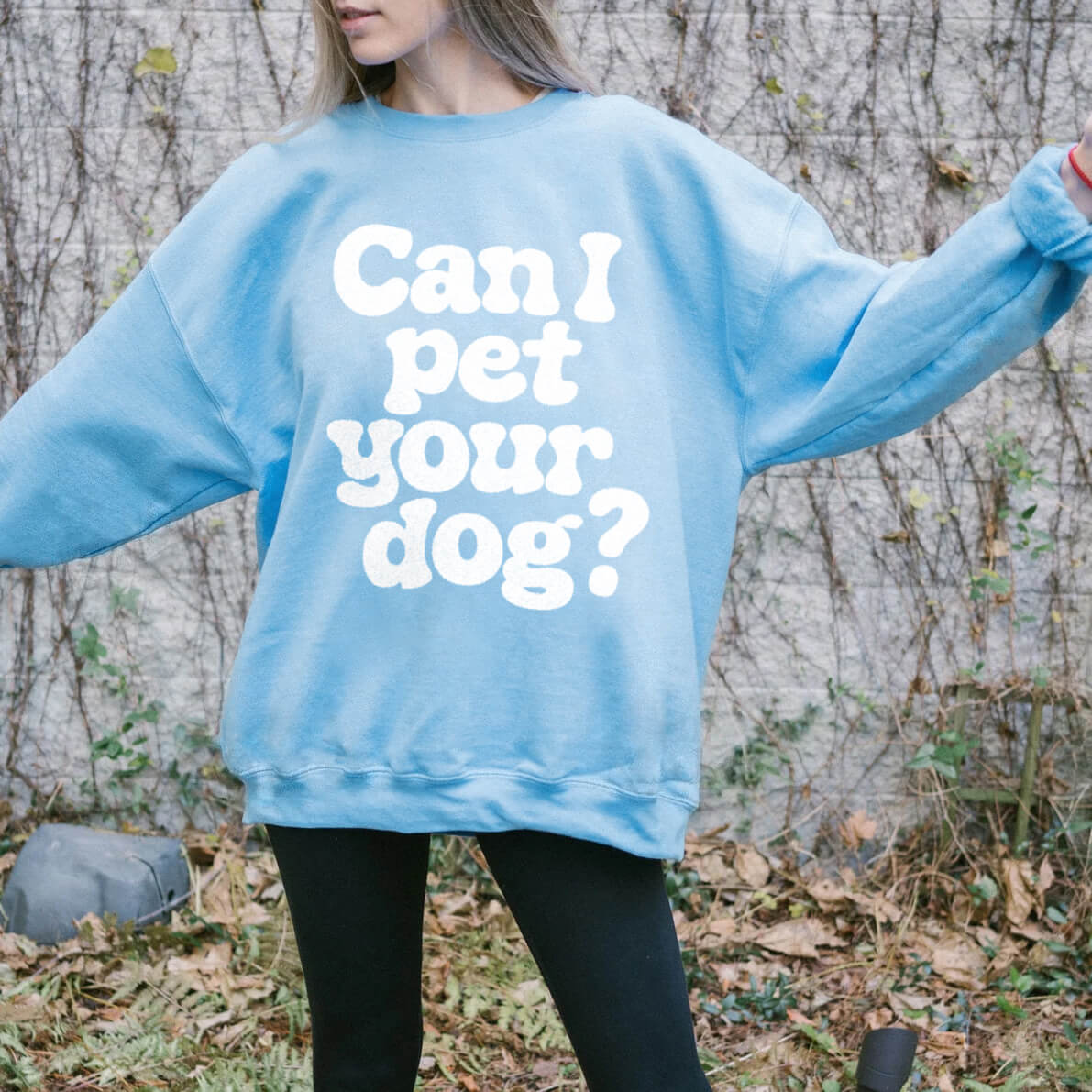 Can I pet your Dog Sweater - Dogloverclothing.com