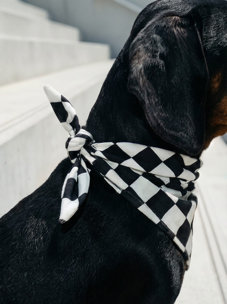 Side view of the checkered dog bandana from WOOF