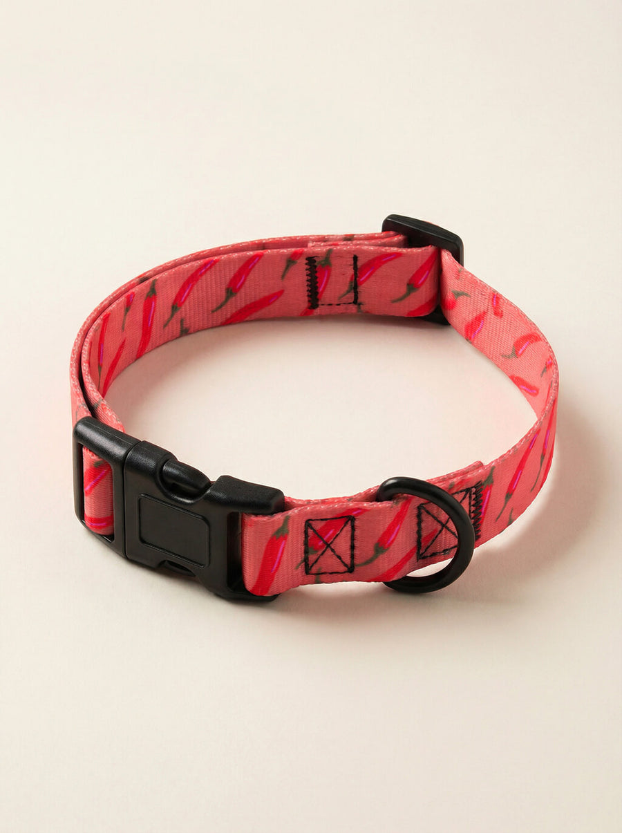 Chili print dog collar from WOOF shown on its own