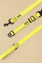 Citrus Yellow Dog Collar & Leash Set - WOOF