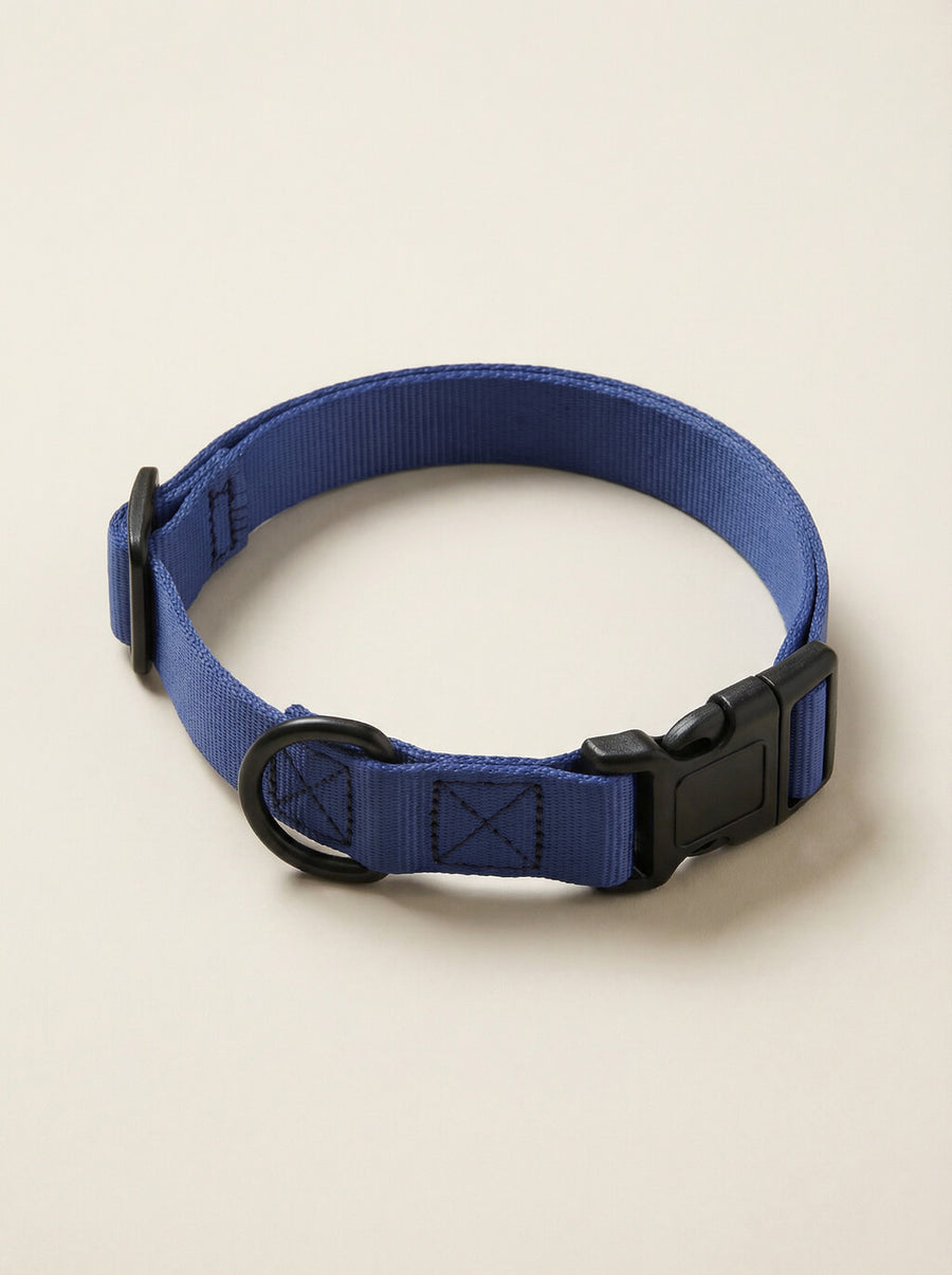 Deep blue dog collar from WOOF shown on its own
