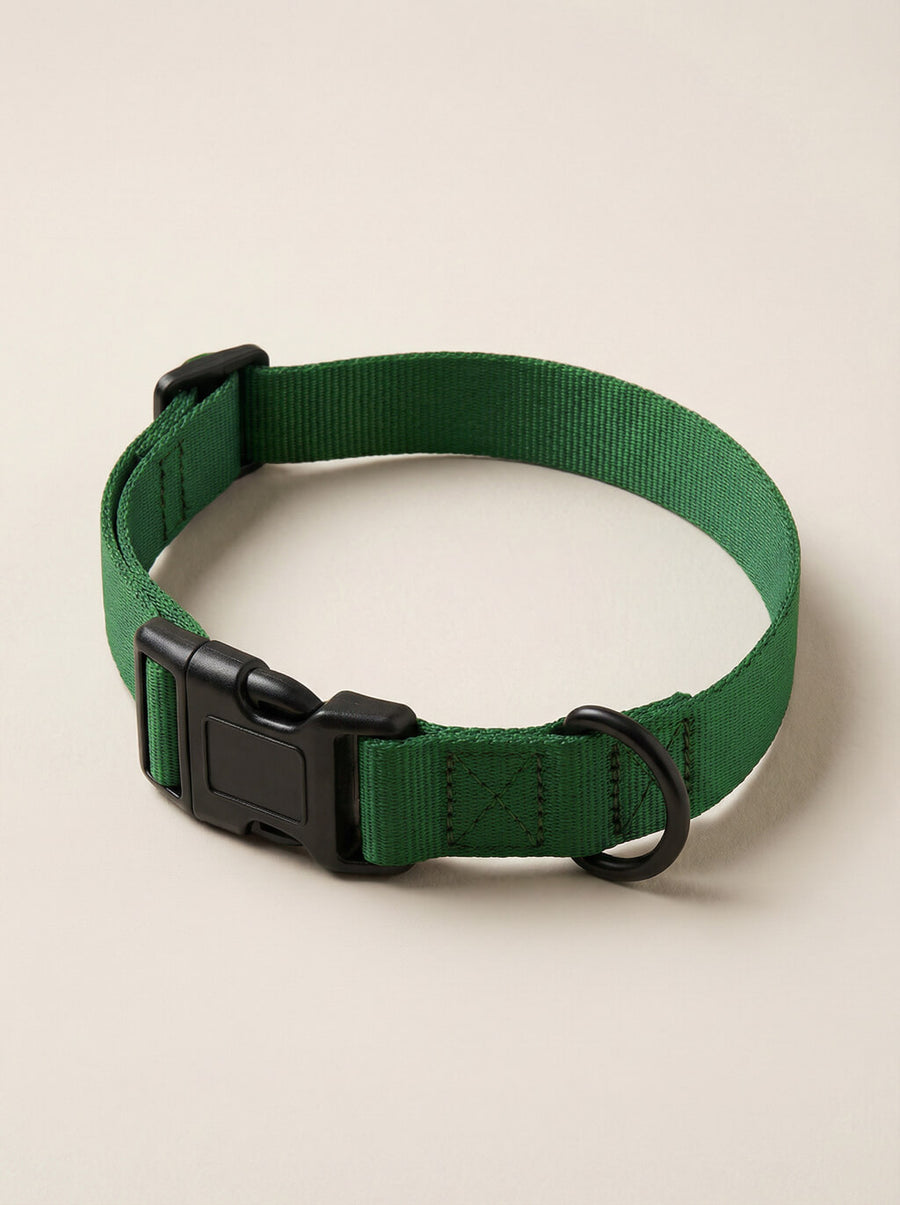 Deep green dog collar from WOOF shown on its own
