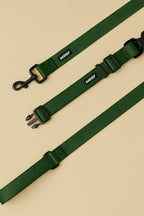 Deep Green Dog Collar & Leash Set - WOOF