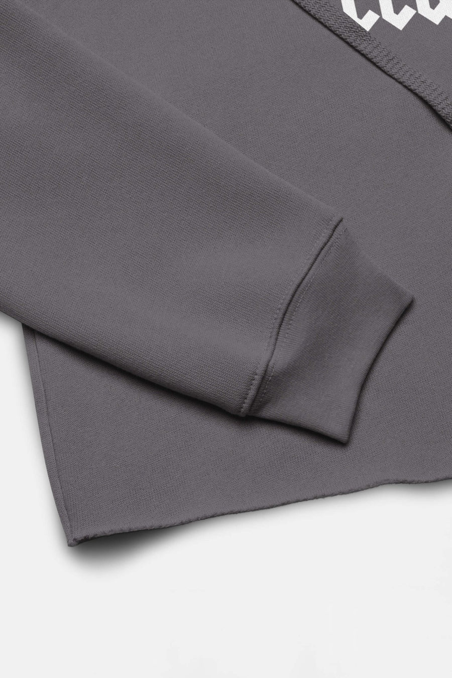 Print detail on the storm grey Diehard Dog Moms Club Crop Hoodie from WOOF