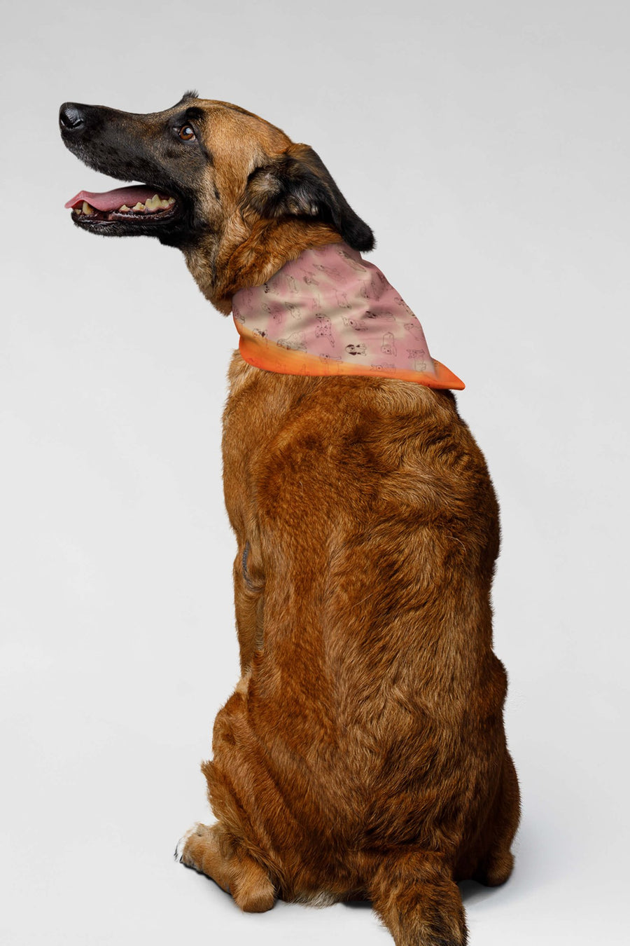 Back of the beige Adorable Puppy Pals dog bandana from WOOF