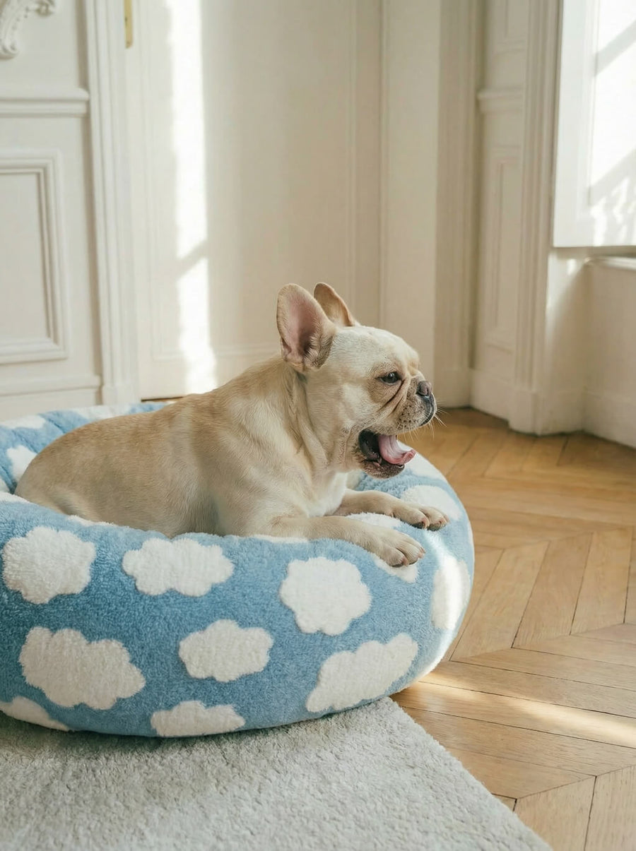 Close up of the plush cloud pattern on the dog bed from WOOF