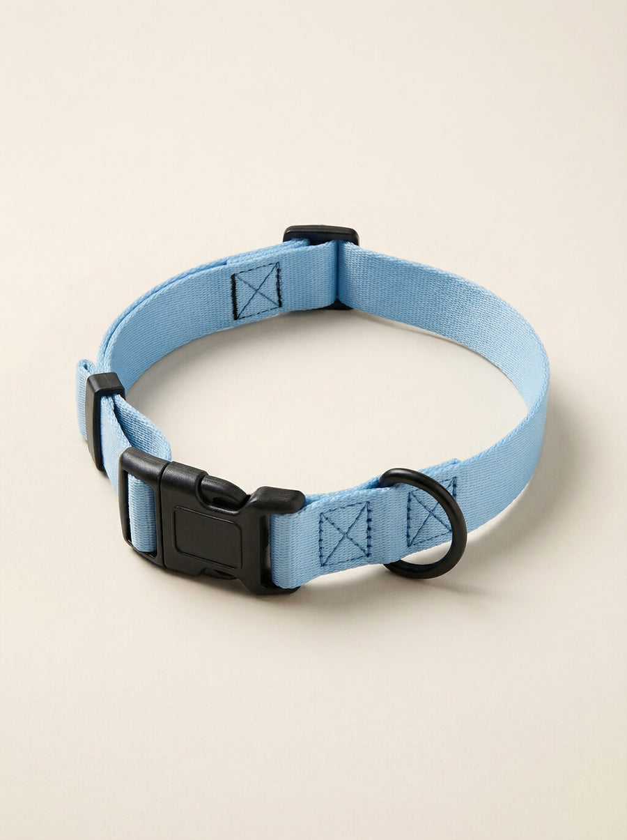 Ice blue dog collar from WOOF shown on its own