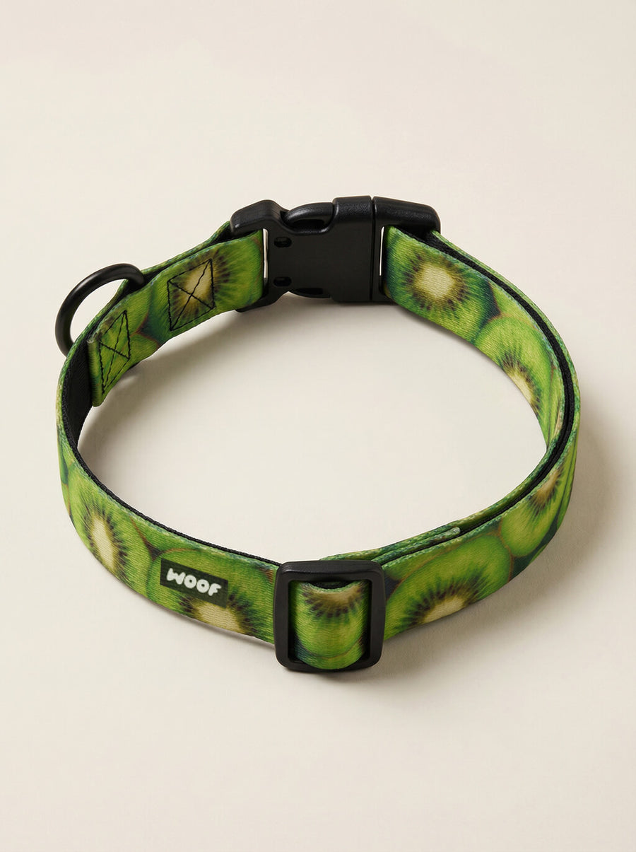 Kiwi print dog collar from WOOF shown on its own