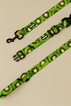Kiwi Heaven Dog Collar & Leash Set - WOOF
