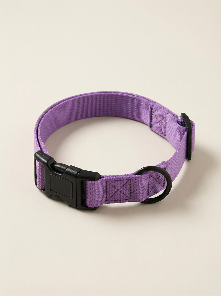 Lavender dog collar from WOOF shown on its own